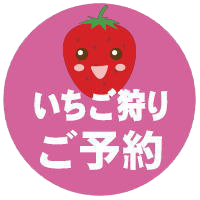 徳島県吉野川市のいちご園（あんいちご園）-いちご、いちご狩り、オンラインショッピング（通販）-